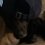 Dean Morrow - @dabinxyboi - Instagram
