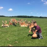 Dean Morrow - @deanmorrow345 - Instagram