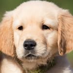 Dean Morse - @dean.morse.5895 - Instagram