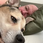 Dean Morse - @deanmorse441 - Instagram