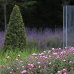 Dean Moss - @deanmoss.gardener - Instagram