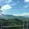 Dean Moss - @dean.moss12 - TikTok