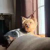 Deanne Wells - @deanne.wells - TikTok