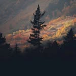 Dean North - @deannorth49 - Instagram