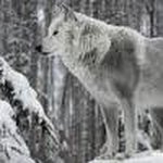 Dean Oakes - @dean.oakes.98 - Instagram