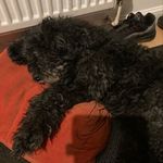 Dean Oakley - @dean_bud_500 - Instagram