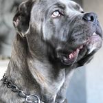 Dean Oakley - @dean.oakley.76 - Instagram