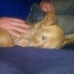 Dean Owen - @real_racingeye - Instagram