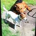 Dean Owen - Facebook