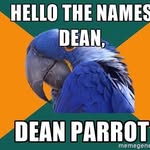 Dean Parrott - @parrott_dean - Instagram