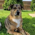 Dean Parsons - @deanparsons86 - Instagram