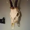 dean parsons - @dean_parsons1625 - TikTok