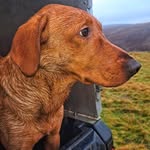 Dean Power - @dean_power1 - Instagram