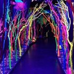 Kim Dean Puckett - @kimdeanpuckett - Instagram