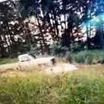 Dean Purcell - @purcell.dean - Instagram