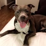 Dean Ramsey - @dean_ramsey128 - Instagram