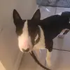 Dean - @deanrandall7431 - TikTok