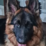Dean Randall - @deanbrandall - Instagram