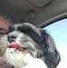 Dean Riddell - Facebook