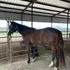 Deanne Rucker - @deannerucker3 - TikTok