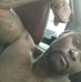 Deon Rucker - Facebook