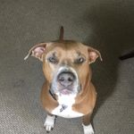 Russo Dean Becker - @russo_dean - Instagram