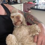 Dean Sanderson - @dsanderson10101 - Instagram