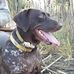 Dean Sasser - Facebook