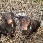 Dean Schaffer - @deanschaffer - Instagram