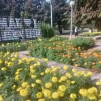 Shamaus Din - Facebook