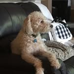 Dean Seifried - @dtseif - Instagram