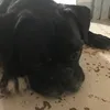 Dean - @dean.shea - TikTok