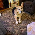 Dean Shea - @deanshea82 - Instagram