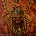Dean Shore - @shorey777 - Instagram