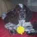Dean Simmons - Facebook