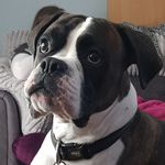 dean skinner - @deanskinner99 - Instagram