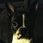 Dean Snook - @wd_snook - Instagram