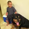 deanspeer856 - @deanspeer856 - TikTok