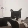 Dean Stark - @dean.stark - TikTok