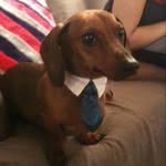 Dean Steele - @dean_steele0_0 - Instagram