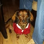 Dean Steele - @steele.dean - Instagram