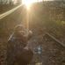 Dean Stephens - Facebook