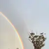deanstockman612 - @deanstockman612 - TikTok