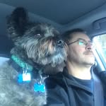 Dean Thiessen - @dean.thiessen - Instagram