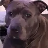 Thomas Dean - @thomas.dean81 - TikTok