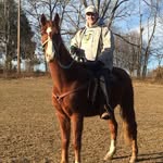 Dean Tindall - @tindalldean - Instagram