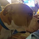 Dean Valencia - @dean.valencia.104 - Instagram