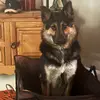 deannavalencia - @deanna.valencia - TikTok