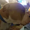 deanvalencia381 - @deanvalencia381 - TikTok