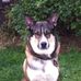 Dean Walsh - Facebook